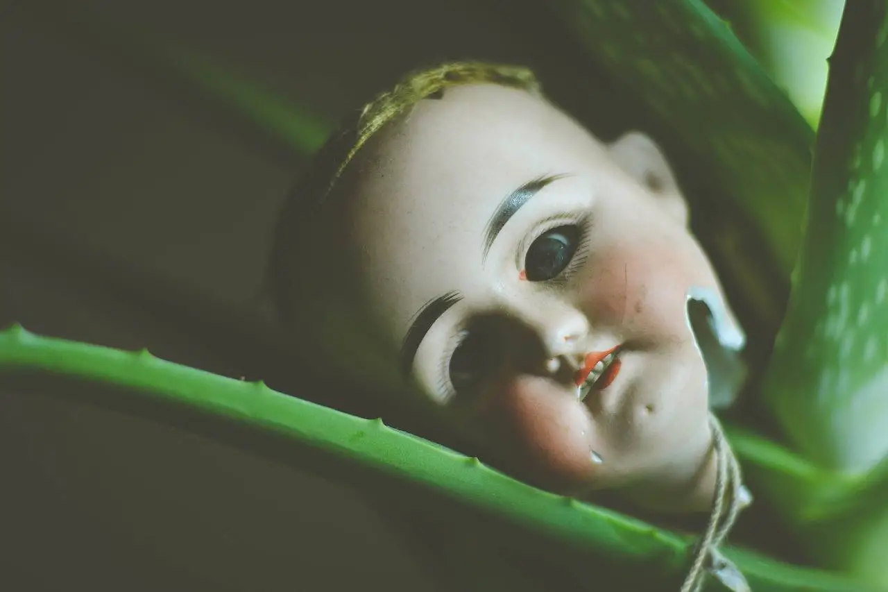 Paranormal Investigation In Uttarakhand Detective